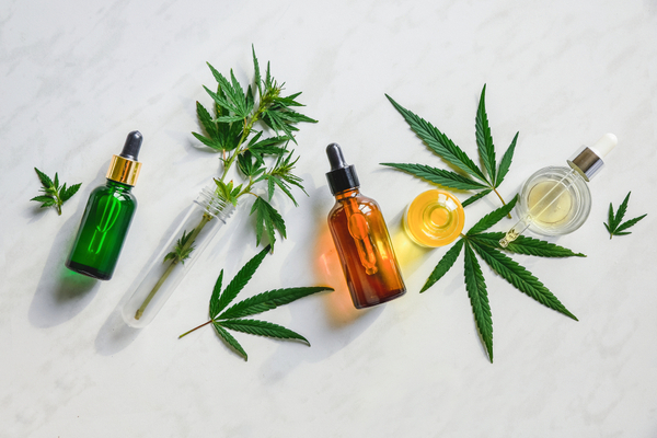 Lire la suite à propos de l’article CBD : autorisé ou interdit ?