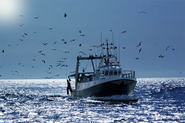 Lire la suite à propos de l’article Flotte de pêche : du nouveau concernant l’obtention du permis de mise en exploitation