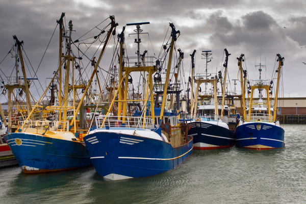 You are currently viewing Secteur de la pêche : bénéficier d’une aide financière avant qu’il ne soit trop tard !