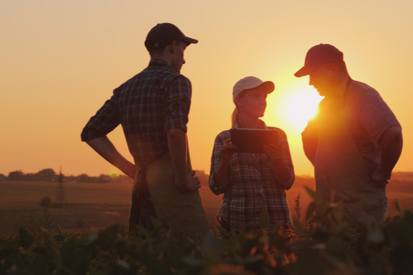 You are currently viewing Employeurs agricoles : déclarez l’accident du travail, identifiez le responsable !