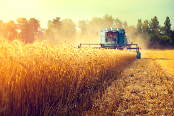 Lire la suite à propos de l’article Une protection sociale améliorée pour les non-salariés agricoles