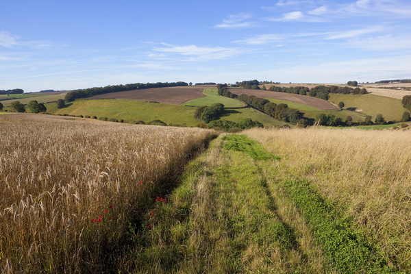 You are currently viewing Plan résilience : les agriculteurs doivent produire plus !