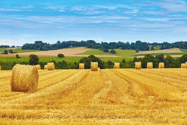 Lire la suite à propos de l’article Crise ukrainienne : quel soutien social pour le secteur agricole ?