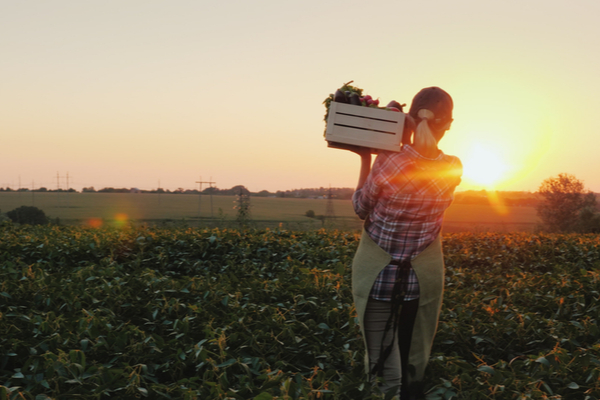 Lire la suite à propos de l’article Intempéries : quel(s) soutien(s) pour le secteur agricole ?