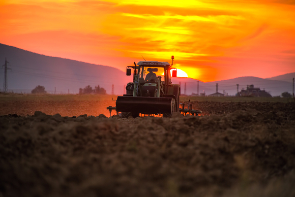 Lire la suite à propos de l’article Santé au travail : quelles nouveautés pour le secteur agricole ?