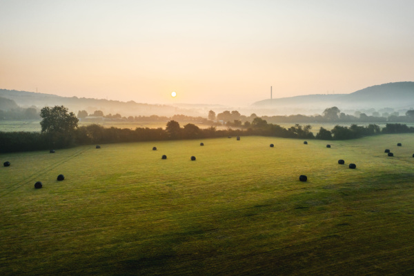 Lire la suite à propos de l’article Résiliation du bail rural : attention au formalisme !