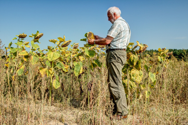 Lire la suite à propos de l’article Aléas climatiques : un dispositif pour (r)assurer les agriculteurs !