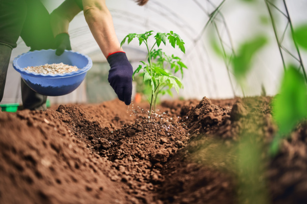 You are currently viewing Produits fertilisants : un secteur sous contrôle