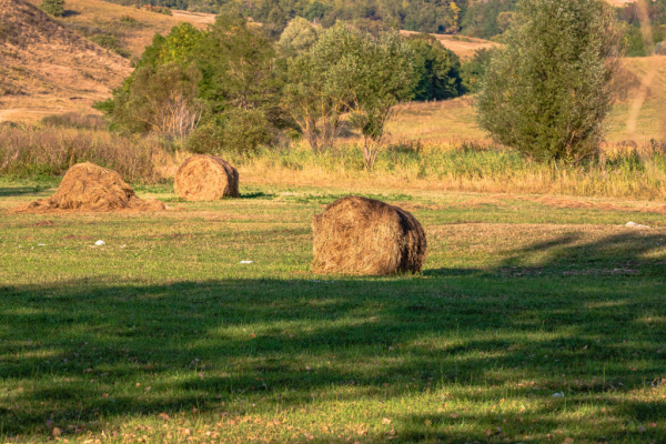 Lire la suite à propos de l’article Agrandissement d’exploitations agricoles : quand la procédure est suspendue…