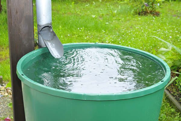 You are currently viewing Lutte contre la sécheresse : des récupérateurs d’eau de pluie payés par MaPrimeRénov ?