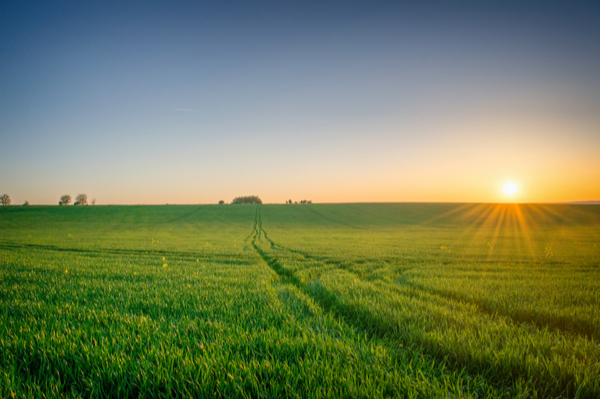 Lire la suite à propos de l’article 2de loi de finances rectificative pour 2022 : un point sur la taxe foncière des agriculteurs