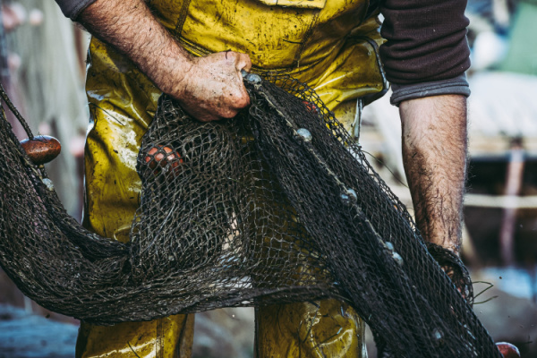 Lire la suite à propos de l’article Pêcheurs : une réglementation qui se renforce…