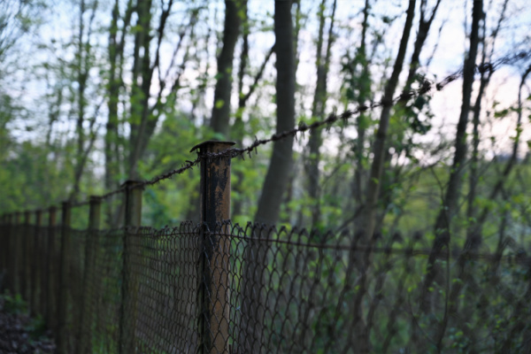 You are currently viewing Espaces naturels et clôtures : de nouvelles mesures à connaître !