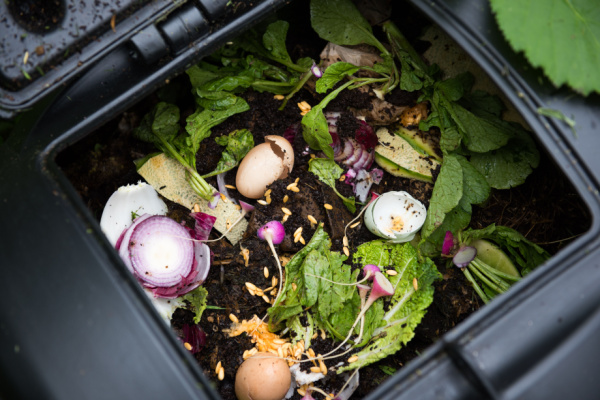 Lire la suite à propos de l’article Tri des déchets alimentaires : la nouvelle obligation des particuliers