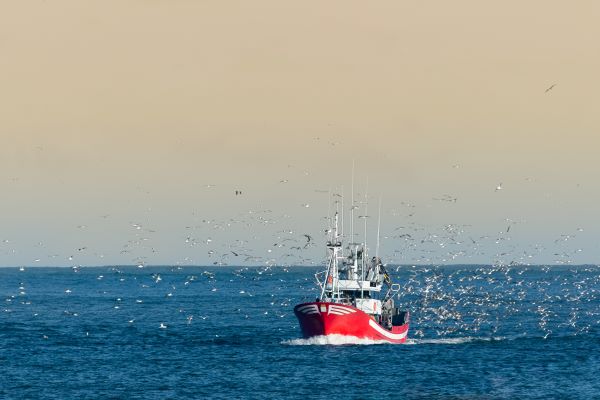 Lire la suite à propos de l’article Pêche en Méditerranée : publication des quotas d’effort de pêche pour 2023