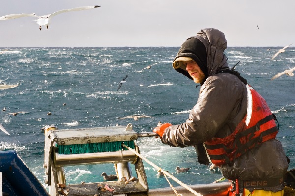 Lire la suite à propos de l’article Vente de poissons destinés à la pêche : quel taux de TVA appliquer ?