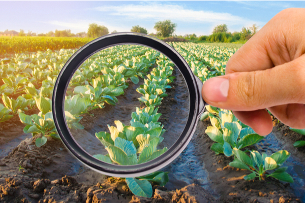 Lire la suite à propos de l’article Plan de soutien aux industries agroalimentaires : que contient-il ?