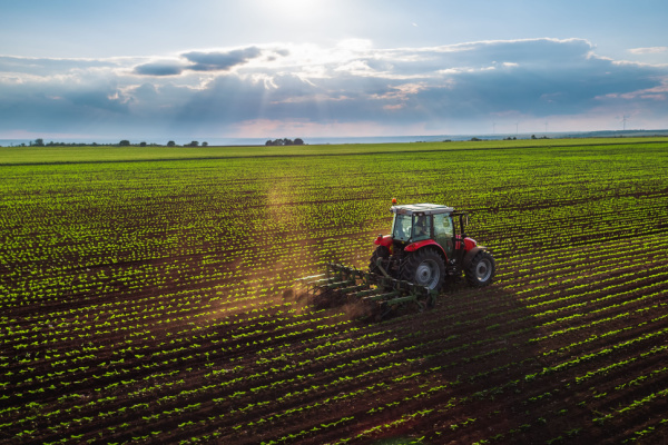 You are currently viewing Artificialisation des terres agricoles : la faute à la pression fiscale ?