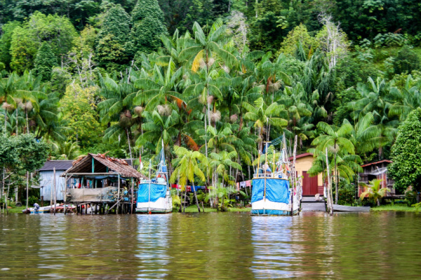 You are currently viewing Guyane : un accord pour relancer la filière pêche