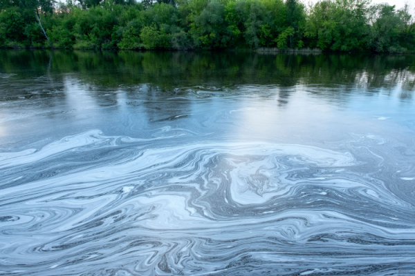 You are currently viewing Préjudice écologique : réparation en nature et/ou indemnité ?