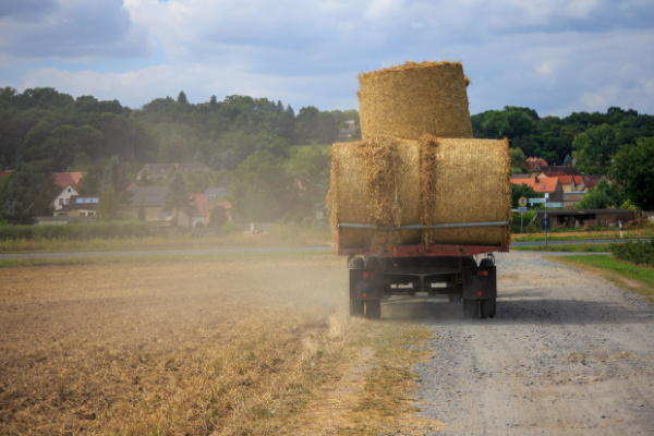 Lire la suite à propos de l’article Bail rural et indemnité d’amélioration en fin de contrat : des précisions du juge