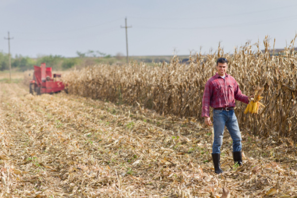 Lire la suite à propos de l’article Installation d’un agriculteur : l’âge (ne) fait (pas) tout ?