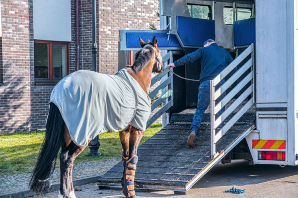 You are currently viewing Transport de chevaux par un agriculteur = chronotachygraphe ?