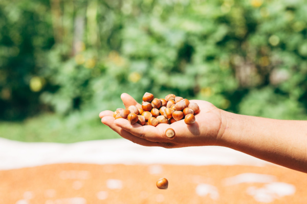 Lire la suite à propos de l’article Taxe foncière : producteur-grainier = agriculteur ?