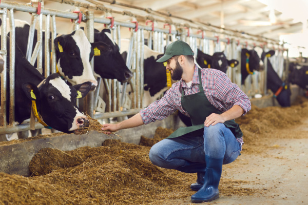 Lire la suite à propos de l’article Agriculture : un plan pour l’élevage français