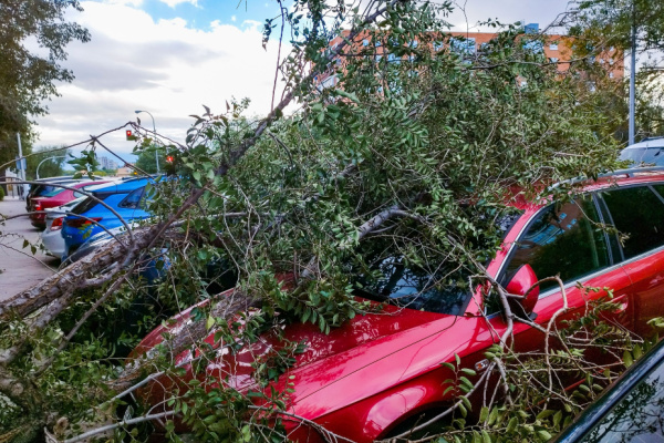 Lire la suite à propos de l’article Tempête Ciaran : l’État vole au secours des entrepreneurs