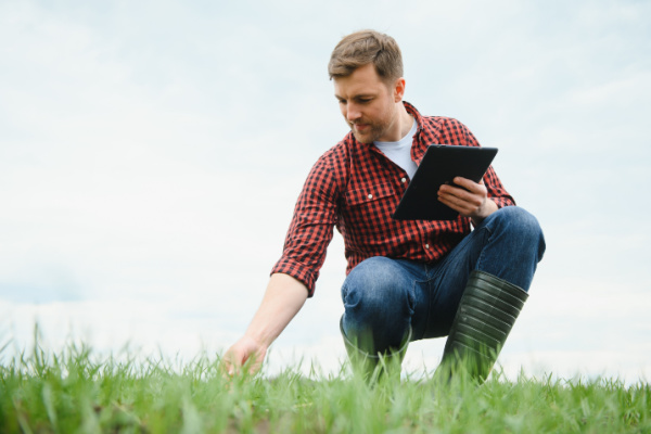 Lire la suite à propos de l’article Aide complémentaire au revenu pour les jeunes agriculteurs : quel montant pour 2023 ?