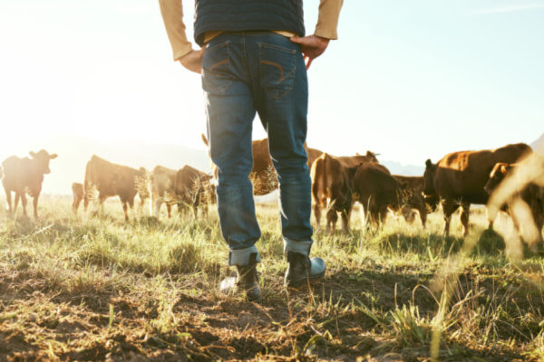 Lire la suite à propos de l’article Agriculture : un début d’année 2024 dense