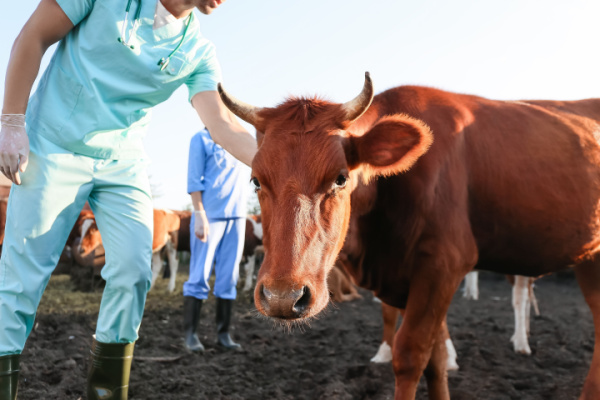 Lire la suite à propos de l’article Agriculteurs : le dispositif d’indemnisation pour la MHE évolue