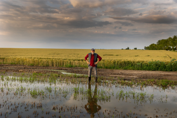 Lire la suite à propos de l’article Calamités agricoles 2023 : à épisodes exceptionnels, indemnisation exceptionnelle