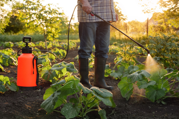 Lire la suite à propos de l’article Pesticides : rappels utiles sur la réglementation