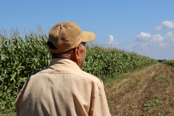 Lire la suite à propos de l’article Bail rural : le consentement du bailleur en question…