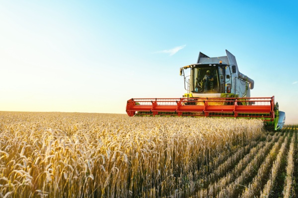 You are currently viewing Métiers en tension : l’ajout (attendu) des métiers agricoles